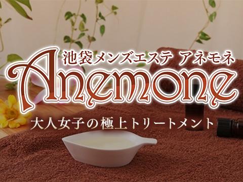 坂本 - アネモネ Anemone |