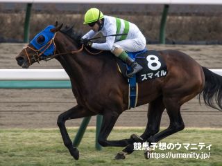 プレミアムスマイルの掲示板 | 競走馬データ