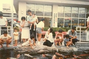 西条市のリンリンパークと錦鯉…2015/9/4 : 徳ちゃん便り