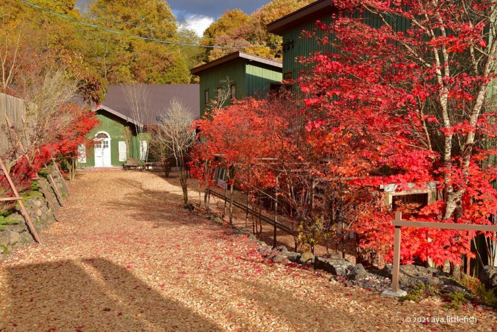 阿寒湖温泉で紅葉狩り！北海道・オンネトーと滝見橋の紅葉は必見 | NAVITIME Travel