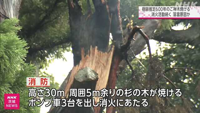 茨城県稲敷郡阿見町の町名地番変更による住所変更 2014年2月実施 - 住所データ・郵便番号データの日本基盤データベース