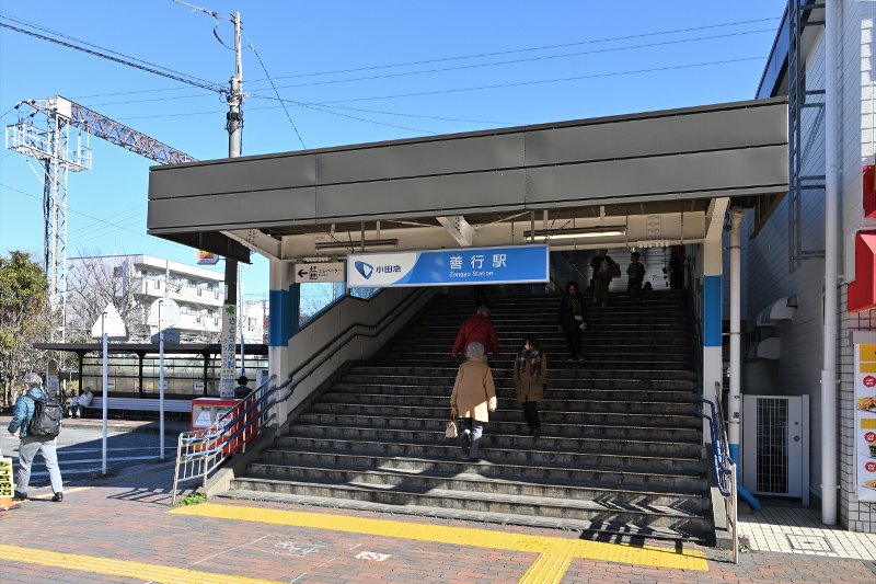 海老名駅(神奈川県)のペットショップを探す|子犬や子猫探しならpetmi