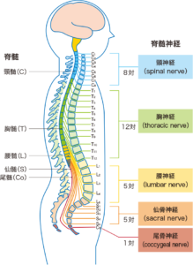 足ピンオナニーはNG?体験談から克服方法を解説