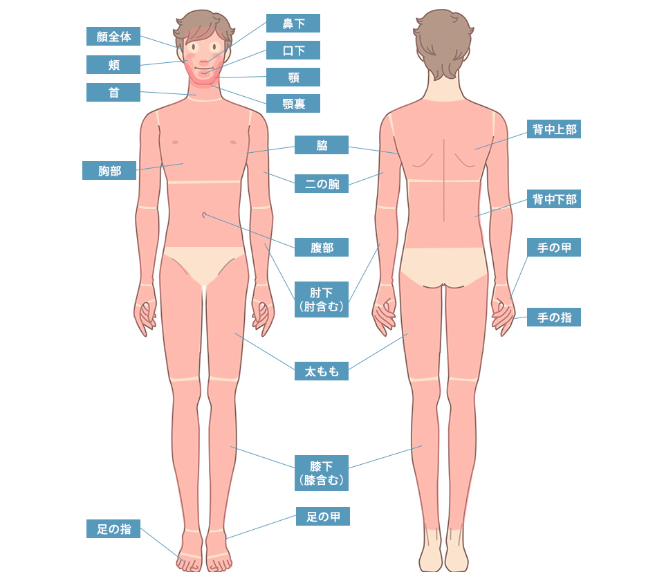 メンズエステの洗体って何？ハマる人続出の理由とは？ | 近くのメンズエステLIFE