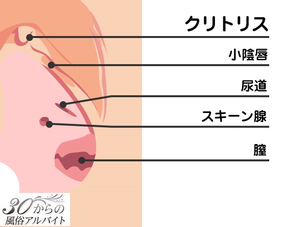 クリトリスでも潮吹きは可能！3つのステップと注意点を実体験を元に暴露しちゃいます！ | Trip-Partner[トリップパートナー]