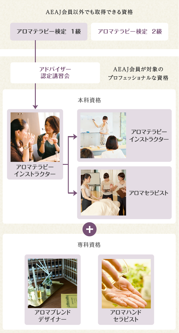 アロマセラピスト資格の難易度は？資格の種類別に解説 - YMCメディカルトレーナーズスクール