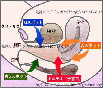 口マ○コが性感帯】エロに溢れた街でバイトする美女はお客さんから連絡先聞かれまくる！ノリよし！顔ヨシ！体良し！お持ち帰りワンナイトの常習○wどエロいベロ使いと誘惑する唇はチ○コの芯まで染みる気持ちよさ…精子からっぽになるまでヨダレ汁ダクダクしゃぶり尽くし男  