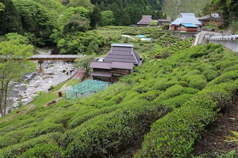 掲示板 ニューハーフ 石川県