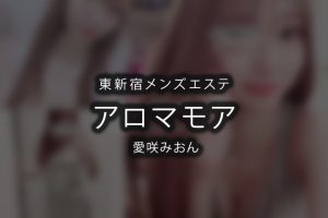 東京・東新宿 メンズエステ 東京【アロマモア】新宿店 / 全国メンズエステランキング