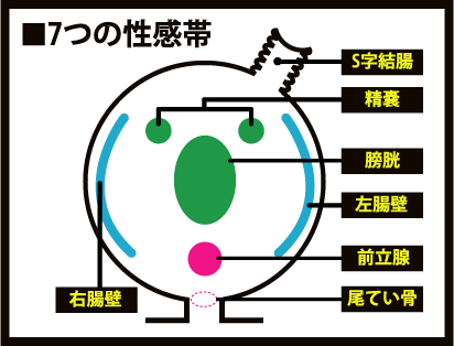 経験者が語る】アナルを性感帯に開発！アナルでイケる体になる方法を伝授！ | Trip-Partner[トリップパートナー]