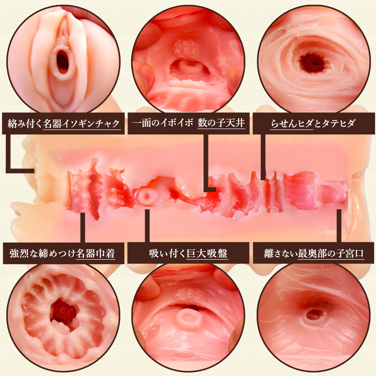 名器の研究 8000人の最新データから解明された女性器の性反応 ポケットブック30 中古本・書籍 |