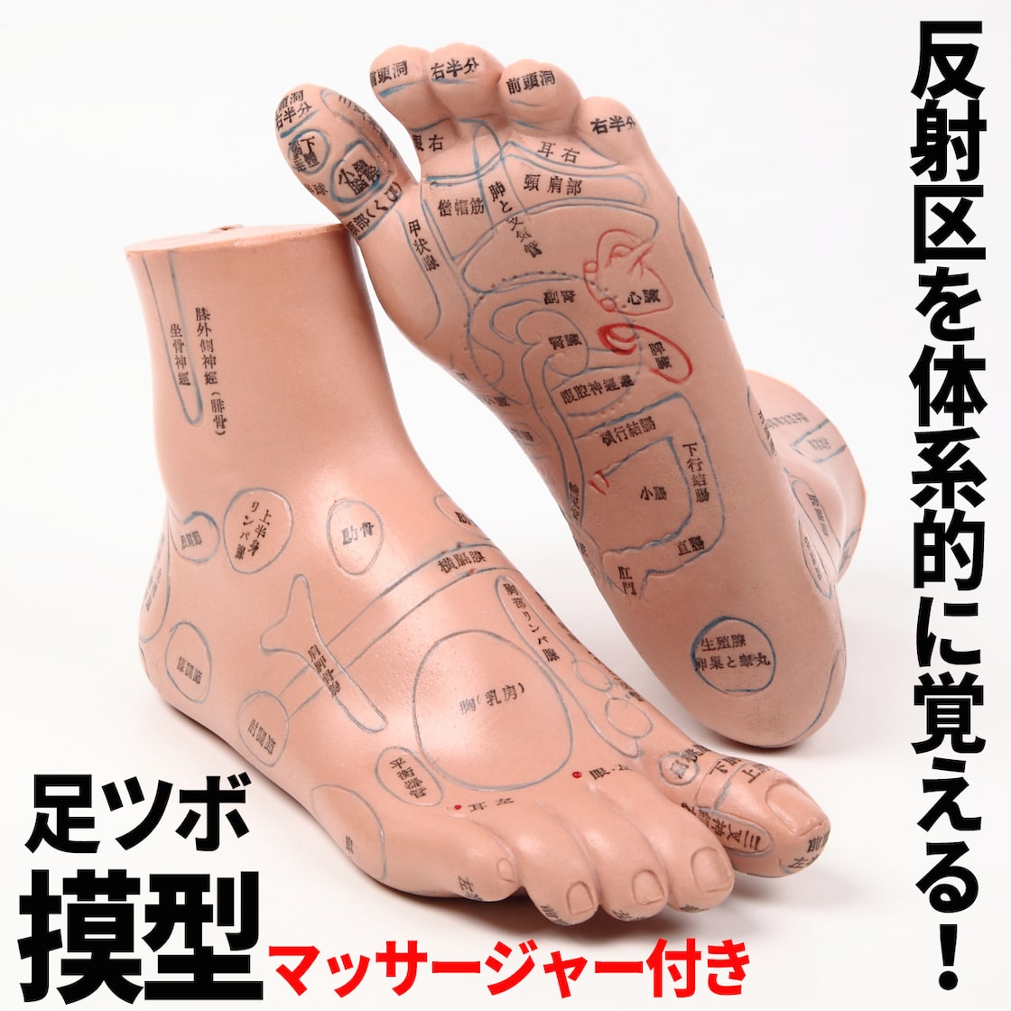 Amazon.co.jp: Dr.Scholl ドクターショール マッサージフィット Mサイズ24～27cm