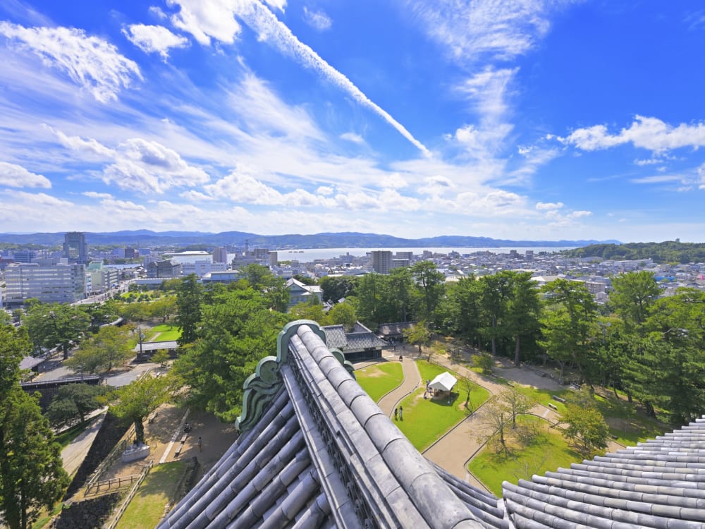 松江市に観葉植物のお店『LUBOA（ルボア）』誕生。ギフト選びにも◎｜日刊Lazuda(ラズダ) -  島根・鳥取を知る、見る、食べる、遊ぶ、暮らすWebマガジン