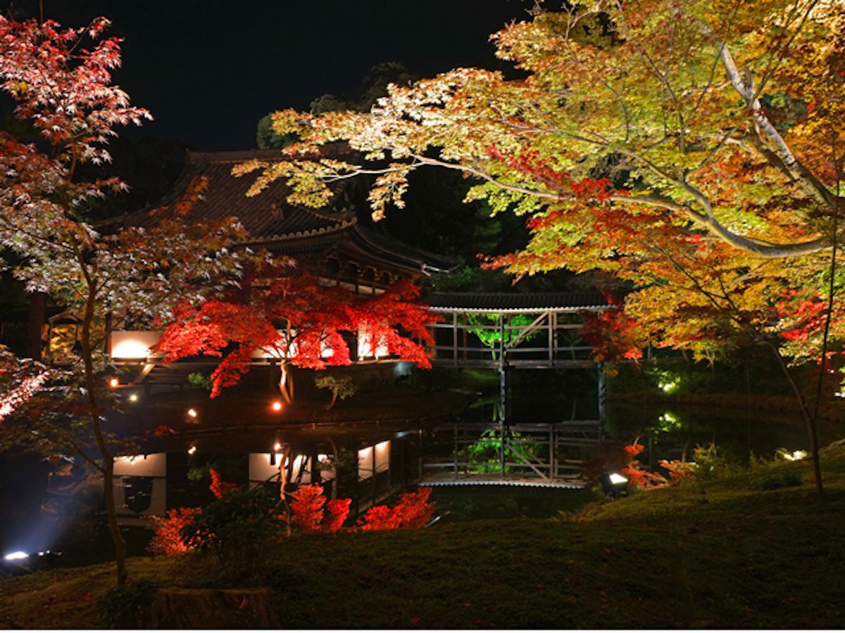 京の夜散歩：静かな散策の魅力