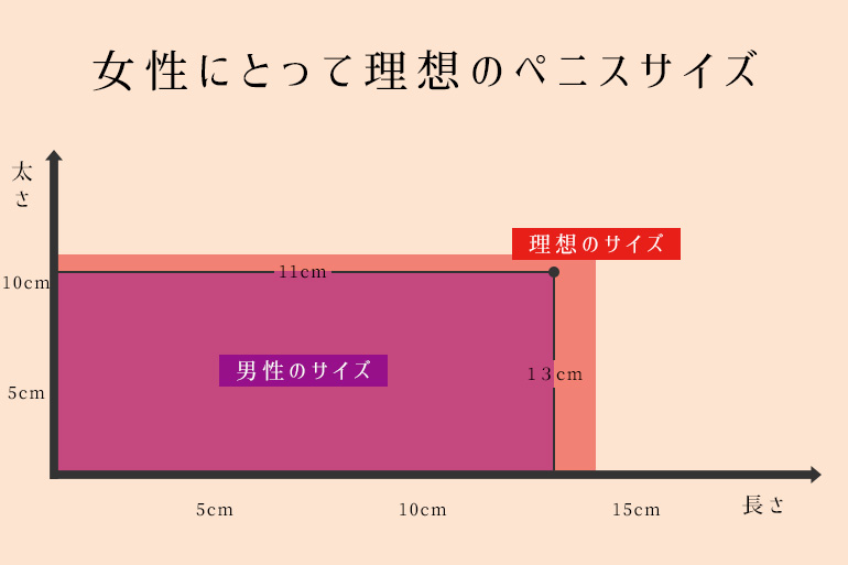 悲報】日本人のちんこの平均サイズと女性が求めるサイズの差が悲惨 | 男の美学