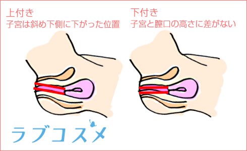 隠れ性感帯【裏Gスポット】の 探し方や開発方法をわかりやすく解説 | シンデレラグループ公式サイト