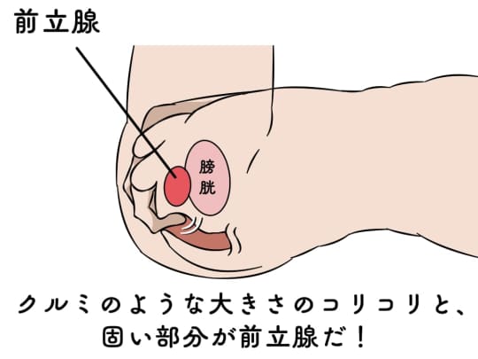 アナル愛撫のやり方！アナルイキや開発方法 - 夜の保健室