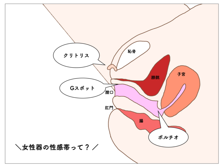 中イキできないとセックスは楽しめないの？中イキするためのコツやおすすめのアダルトグッズを紹介！