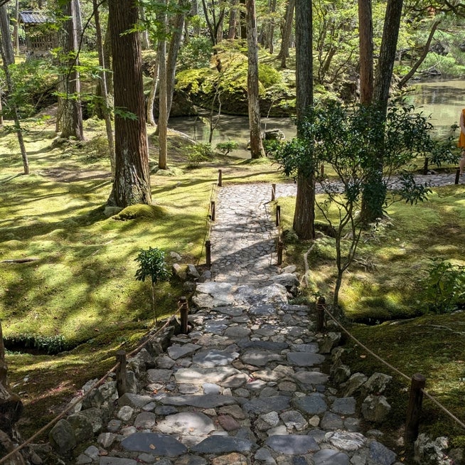 京都 松井酒造 裏神蔵 神蔵 純米大吟醸