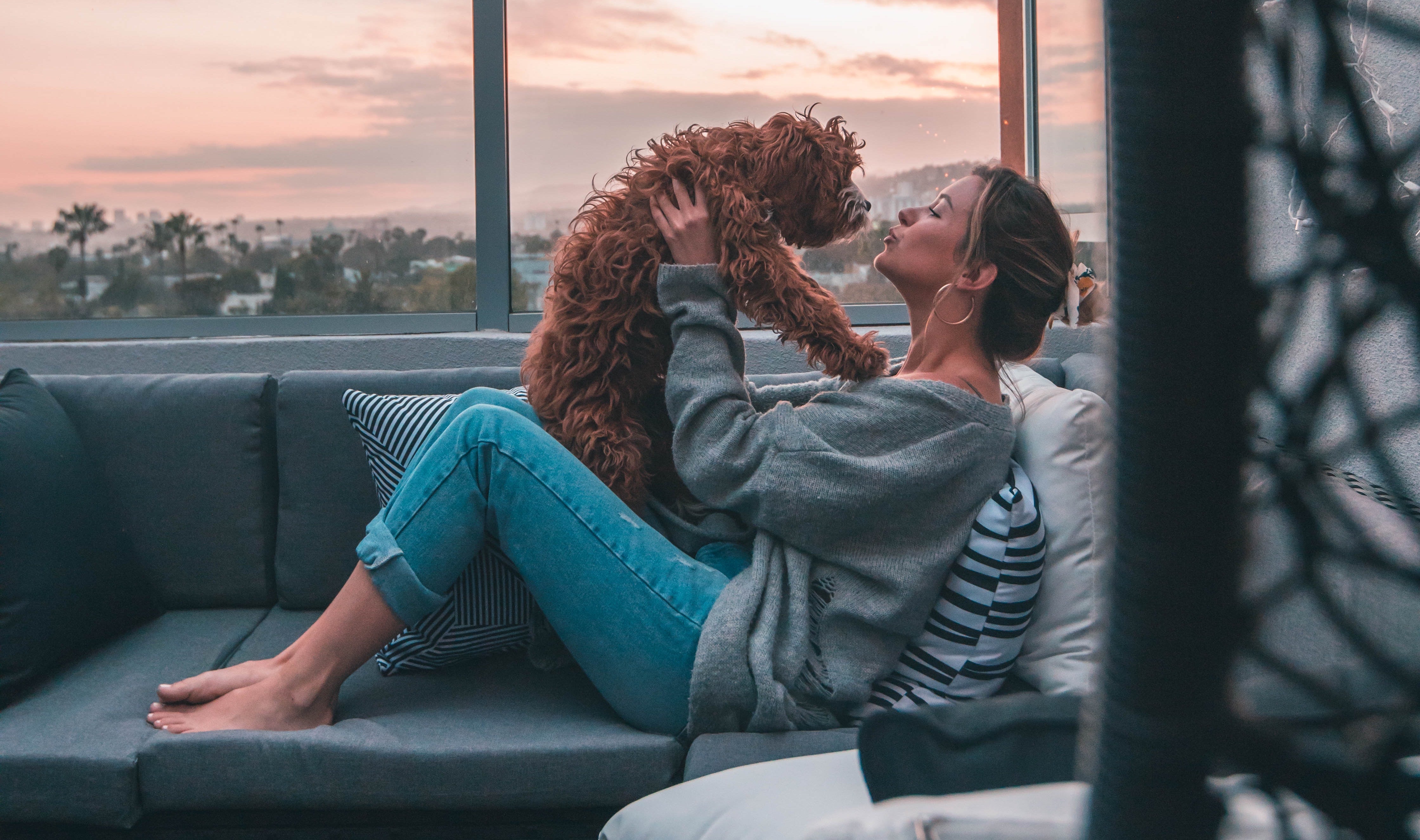 犬が『お尻を舐める』心理4選!もしかしたら怪我や病気になっているかも？ わんちゃんホンポ - お 尻