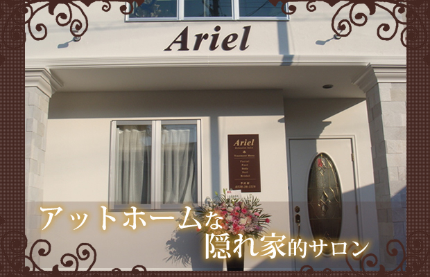 ARIEL | 歌舞伎町 ホスト求人