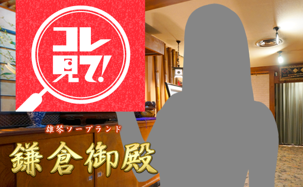 鎌倉御殿 VIP room（カマクラゴテンビップルーム）の募集詳細｜福島・いわき市の風俗男性求人｜メンズバニラ