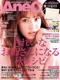 AneCan 2016年 1月号 雑誌　二宮和也　蛯原友里　西野カナ