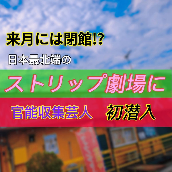 ボントン・ストリップクラブ・アムステルダム：ガイド付きツアー(即日発券)【楽天トラベル 観光体験】