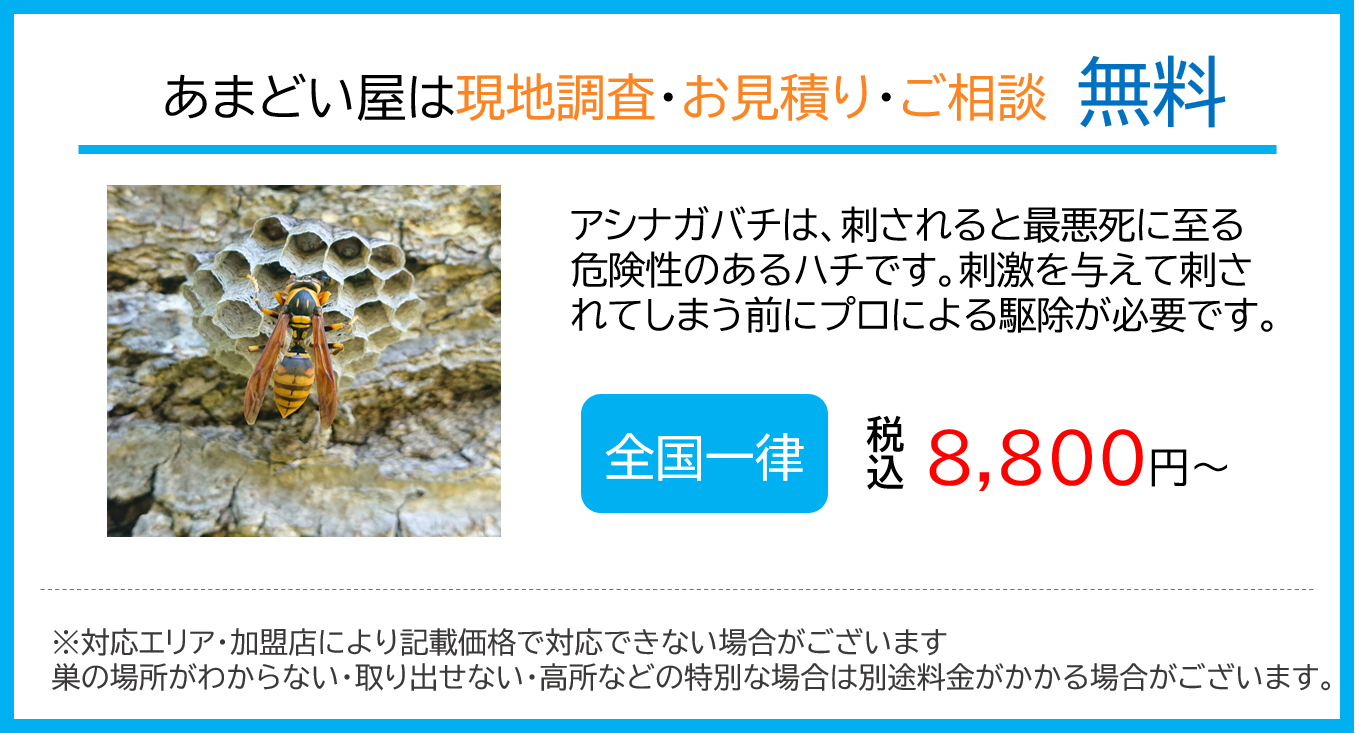 新しいことに挑戦する社風”に刺激を受けるやりがいを感じて。 | MORIOKAシゴトカメラ｜盛岡地元就職応援マガジン