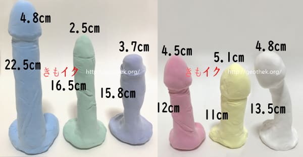 ペニスの大きさ平均は13cm！女性の理想サイズはさらにデカい！？｜薬の通販オンライン