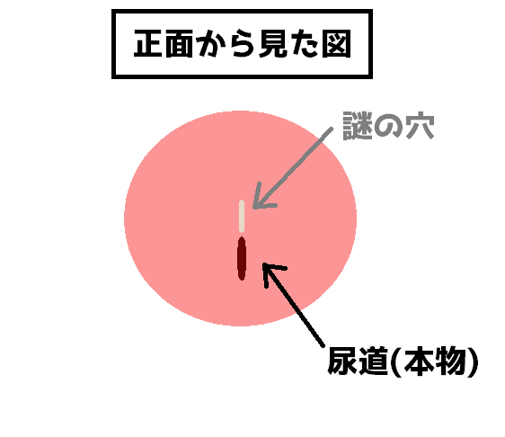 本物ナースのエッチな触診、ちんちん注射で精子ドクドク注入 | デジタルコンテンツのオープンマーケット