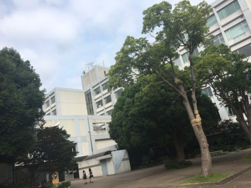 川口市立高等学校に合格したい！そのために知りたい「学校情報」「部活」「偏差値」「進学実績」情報一覧！ | 学習塾なら１クラス６名限定の国大セミナー