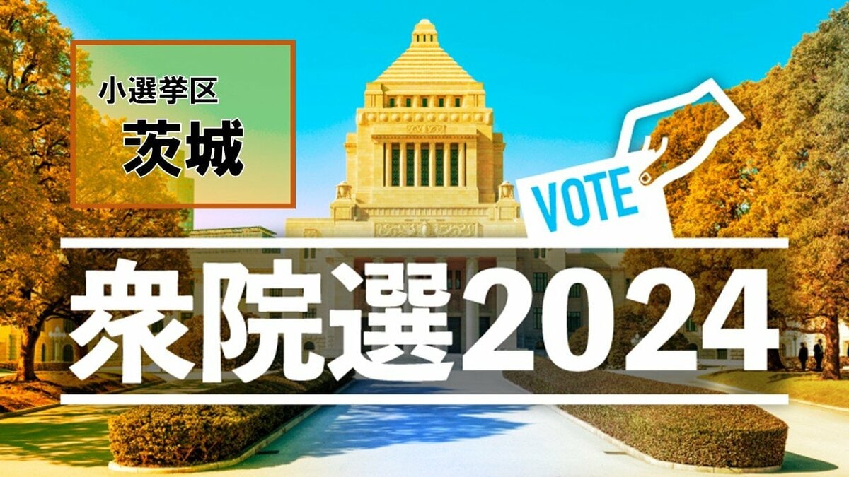 橋口奈保 衆議院選挙(維新 比例代表)衆院選2024 :