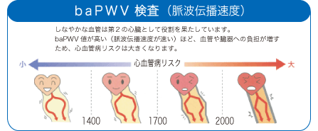 血圧脈波検査（ABI） | 腎・泌尿器科、血液透析のことなら徳島市八万町の亀井病院へ