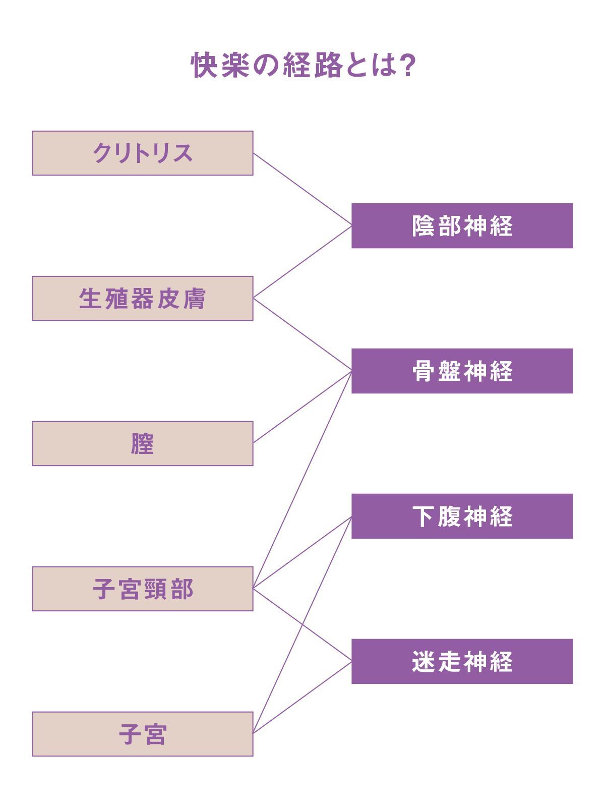 クリでしかイけないのですが、どうしたら中イキ出来るのでしょうか？ | Peing -質問箱-