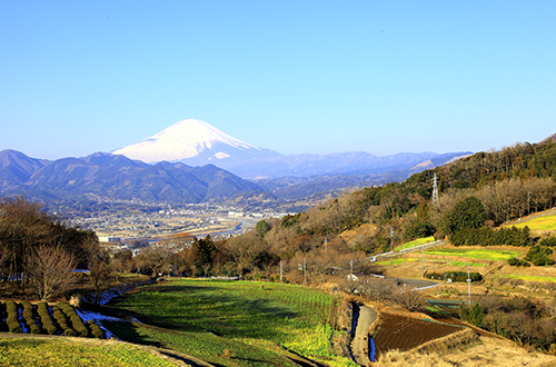 ジョン・カビラの画像・写真 | 東京・大井町、複合スポーツ施設が8・11オープン