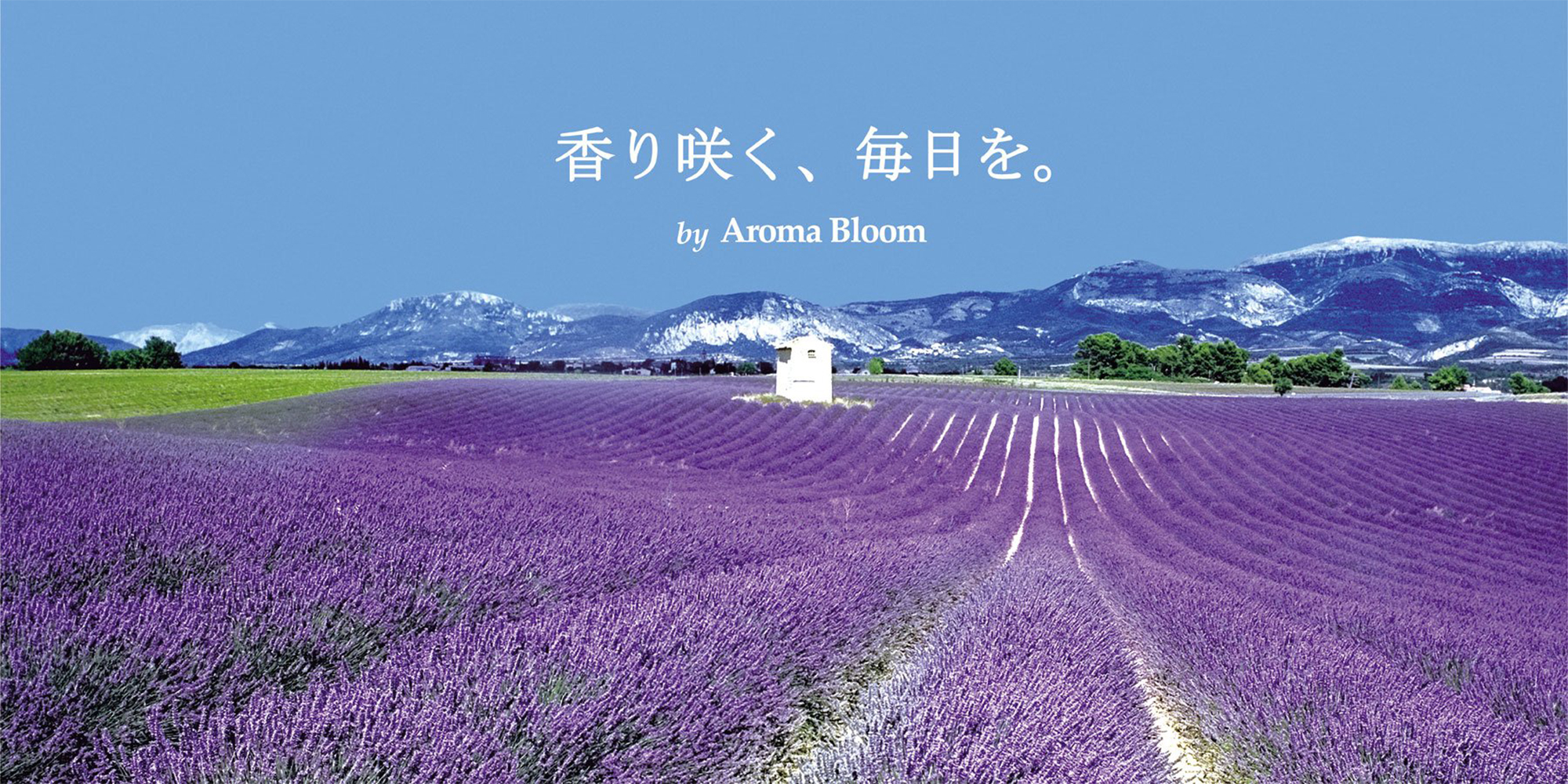 香りで生活を豊かに！アロマ・リラクゼーショングッズを展開するショップ | Aroma Bloom(アロマ ブルーム)