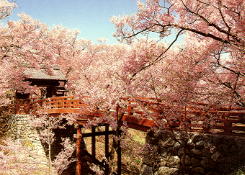 長野県 松本市 HOTEL AtoZ塩尻北(ホテル