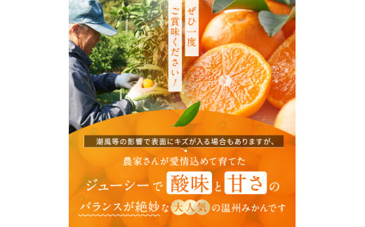 秦野市】甘じょっぱさがクセになる！ふわっふわのバターがたっぷり♪自家焙煎珈琲店『珈琲屋雫月』のあんバタートースト！ | 号外NET