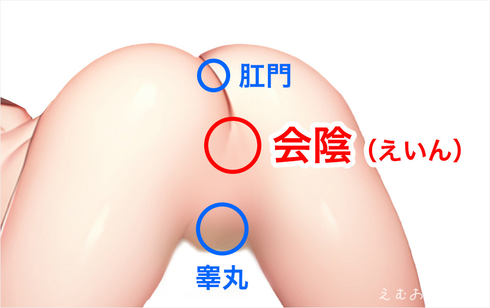 アナル拡張のやり方を徹底解説！肛門拡張やアナル開発調教に必要なグッズも紹介！ - sexprogress.com