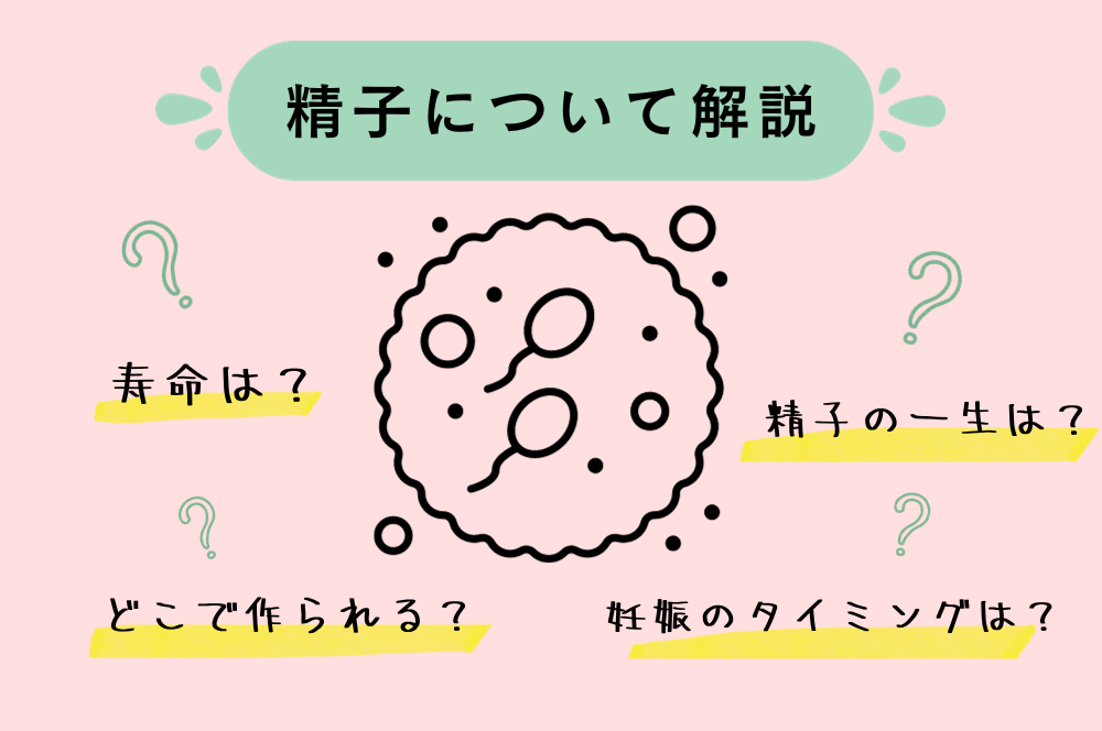 精液量を増やすには？妊活のために質の良い精子を作る方法を解説 | にしたんARTクリニック