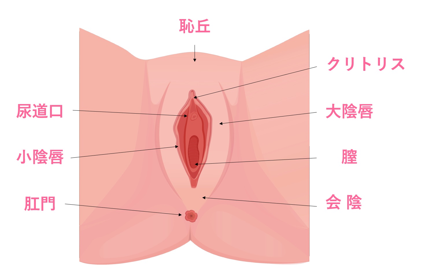 【自腹でデータ入手！】クリトリスの全景こんな感じ！カラダを知るお風呂場