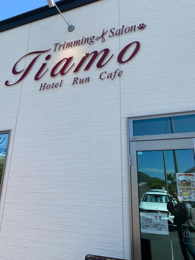 CafeTiamo (@tiamo.cafe8716) •