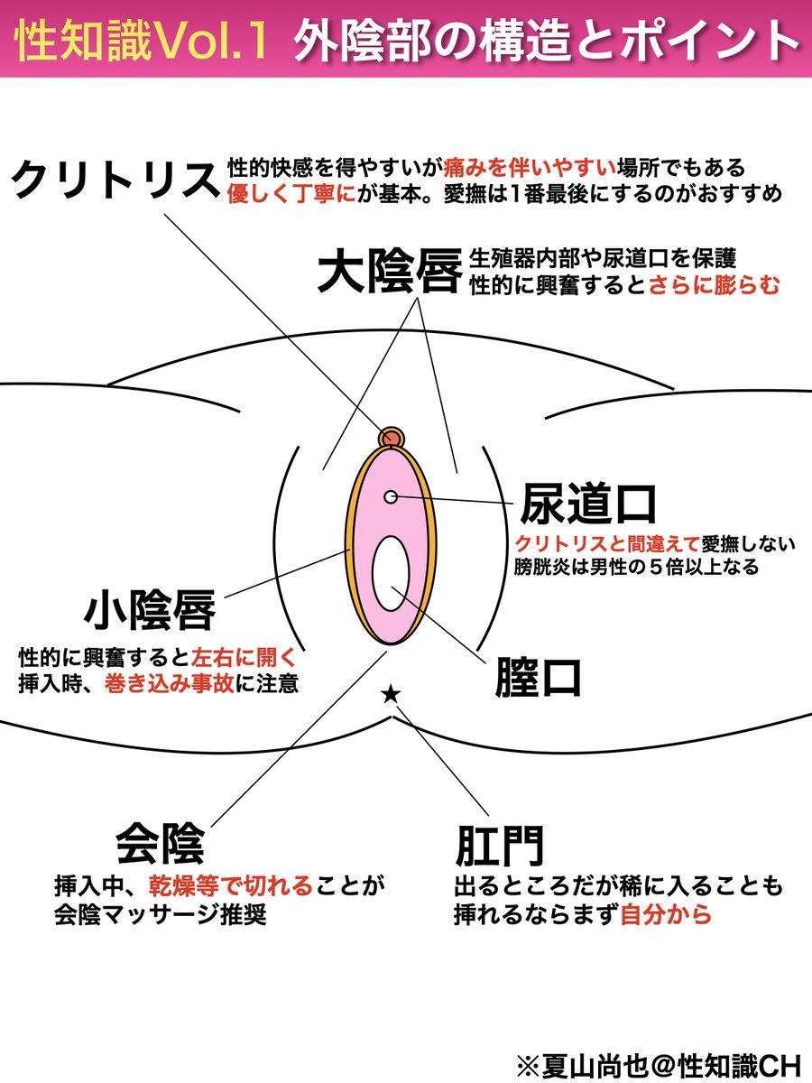 図入りで分かりやすく説明。女性器の名称と役割