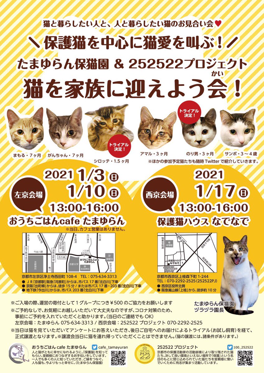 活動報告] 保護猫カフェ『たまゆら』で使って頂きました！ | #CatCavern｜吸い込まれていく・・・入らずにはいられない！【猫の巣】 -