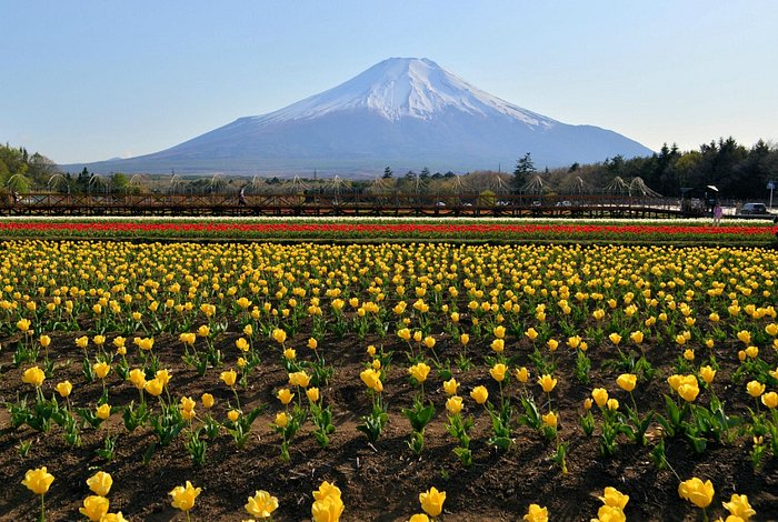 12月20日　, 今朝の山中湖　冬晴れ 　,