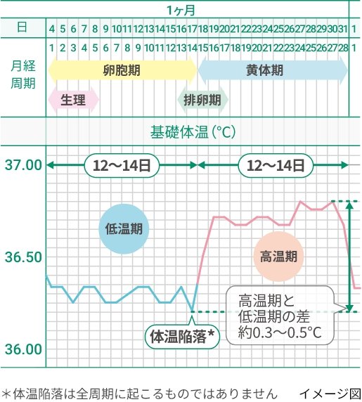 す」から始まる言葉一覧｜しりとりで有利になりたい人は必見！