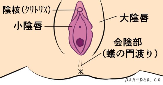 セフレ募集掲示板は危険！安全かつ簡単にセックスフレンドを作る方法 - ペアフルコラム