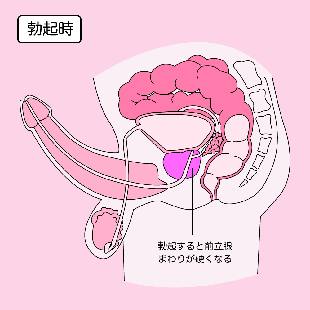 男同士でするセックス体位おすすめ10選｜代表的なアナル体位からバリエーションまで徹底解説