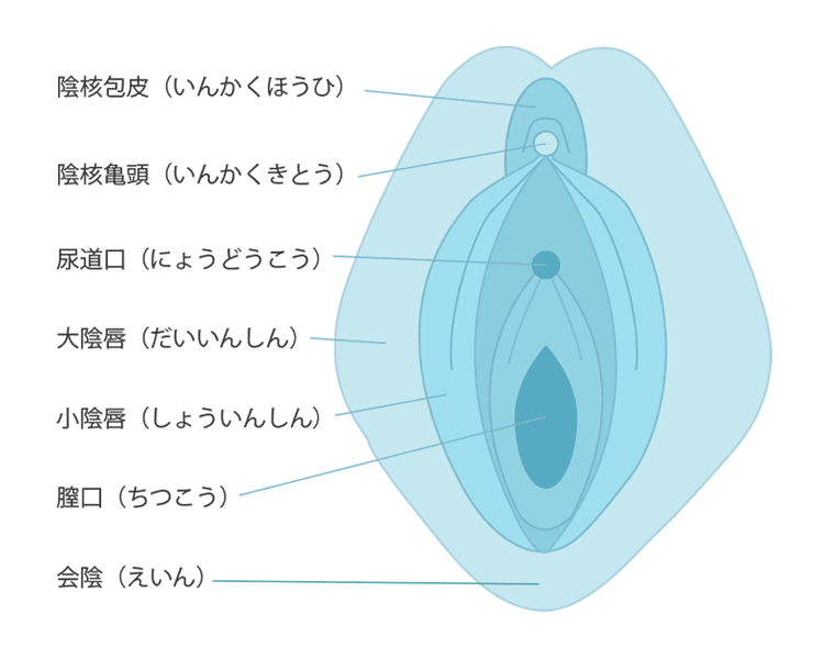 漫画](4ページ目)「AVではパンツすら脱いでしている女性が多いけど…」27歳女性が突き進む「Gライフ」の実態とは？ | 文春オンライン